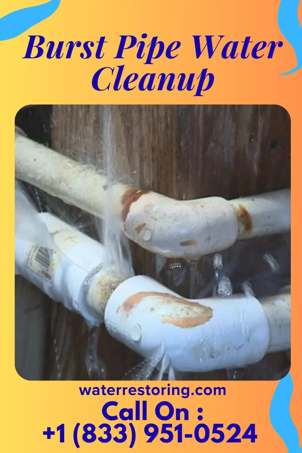 Burst Pipe Water Cleanup in Linden, NJ