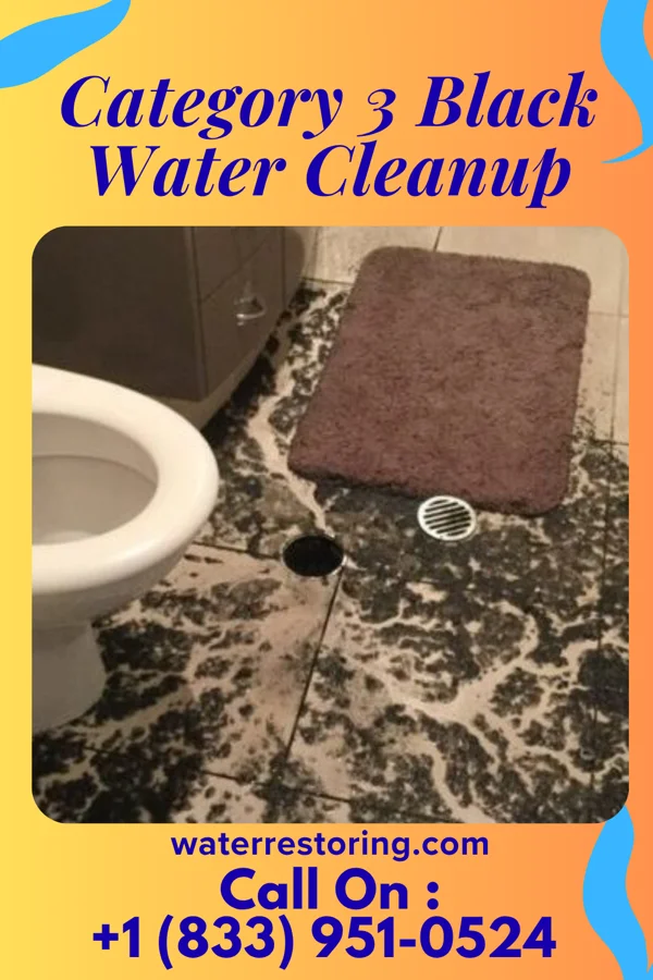 Category 3 Black Water Cleanup in Linden, NJ