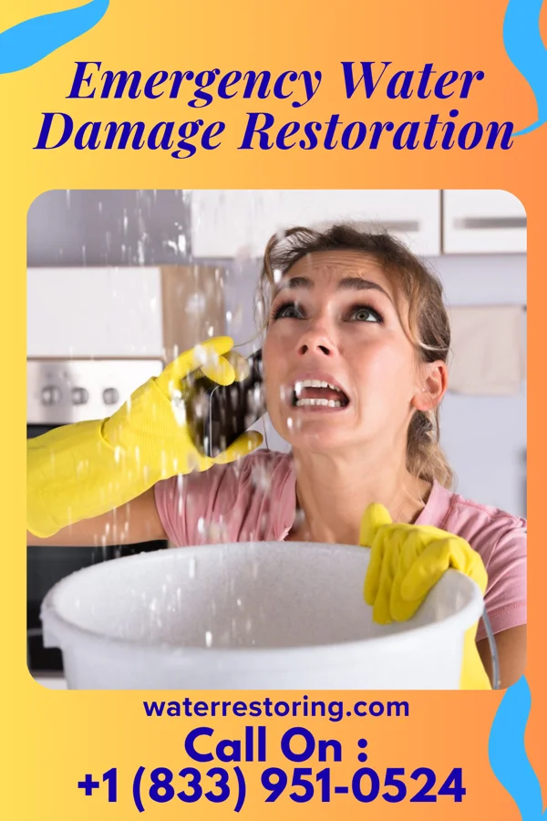 Emergency Water Damage Restoration in Linden, NJ