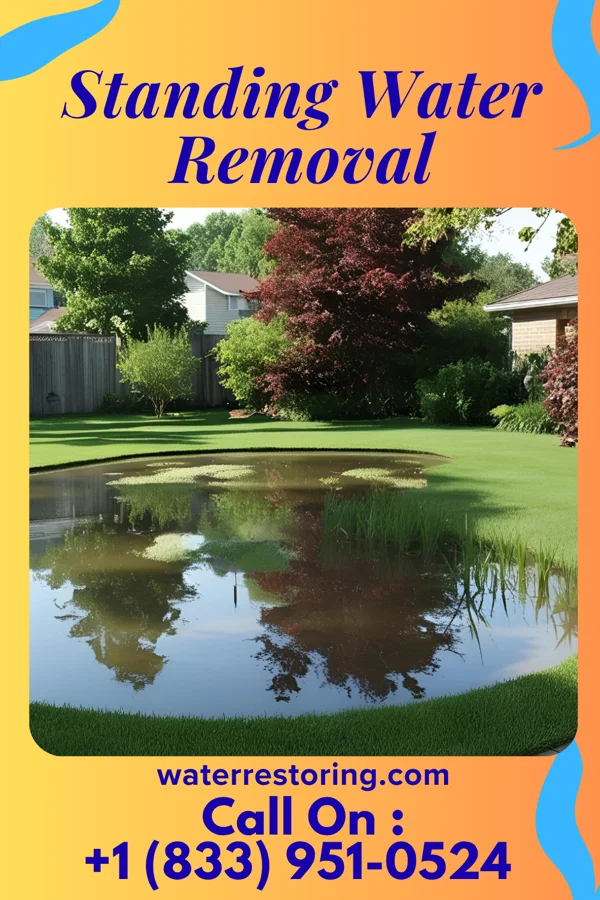 Standing Water Removal in Linden, NJ